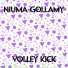 Niuma Gollamy