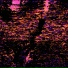 KAMAARA