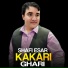 Shafi Esar