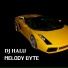 Dj Halu