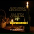 dj lil brunoemici