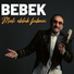 Željko Bebek, Zvone Bebek