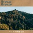 Breezy Breeze