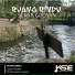Surya Groxyn feat. Keisya Swandini