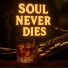 Soul'd Out