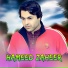 Hameed Zaheer