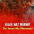 Falak Naz Marwat