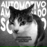 Gisolatodos