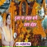 Mandakini Mishra