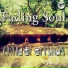 Fading Soul