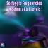 Solfeggio Frequencies Sacred