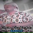 Cheb Aziz Staifi