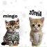 zOreiA69 feat. Mingo
