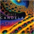 Joe Berte'