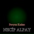 Necip Albay