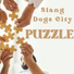 Slang Dogs City