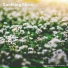 Entspannungsmusik, Yoga, Relaxing Music