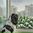 Женя Хомбак