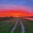 Gin