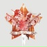 D&B New Gen. Vol.4 S.P.Y.