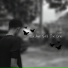 rxodr