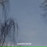 borychka