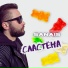 SANAIS