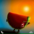 Lofi Fruits Music, Fets, Formal Chicken