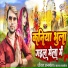 Dheeraj Anmol, Sanjana Saksena