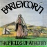 Barleycorn