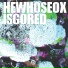He Whose Ox Is Gored