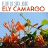 Ely Camargo