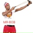 Mr Bob