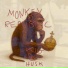 Kig & Husk