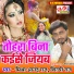 Mishra Anand Raj, Shilpi Raj
