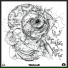 Toadface, Yheti