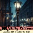 Silky Kittens
