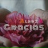 Aleeza