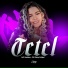 Mc Nahara, DJ DAVY FELIPE, DJ TAK VADIÃO