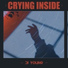 Crying Inside [ＡＭＶ Release ]
