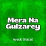 Ayoub Shazad