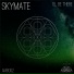 Skymate