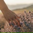 Heal Today, The Sleepy Sounds, The Relaxing Booth