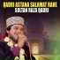 Sultan Raza Qadri