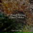 Zarobi, Best Relaxing SPA Music, Música Relaxante