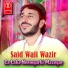 Said Wali Wazir