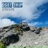 Dset Trip
