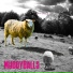 MuddyBalls