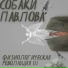 Собаки Павлова