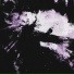 Wayzen